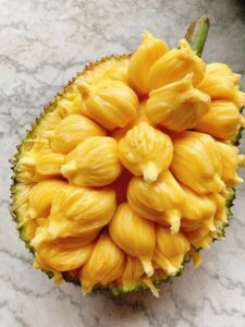 Buah Nangka