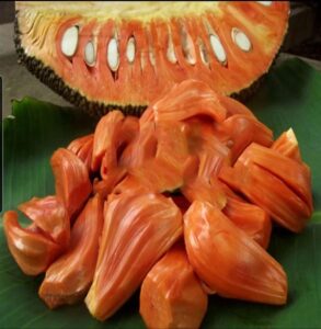 Buah Nangka