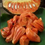 Buah Nangka : Memahami Sejarah Buah, Manfaat dan Budidayanya